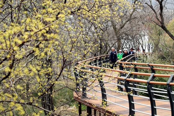 충북도는 청남대 매표소와 별장매점 구간에 생태탐방로를 조성했다. 사진 충북도