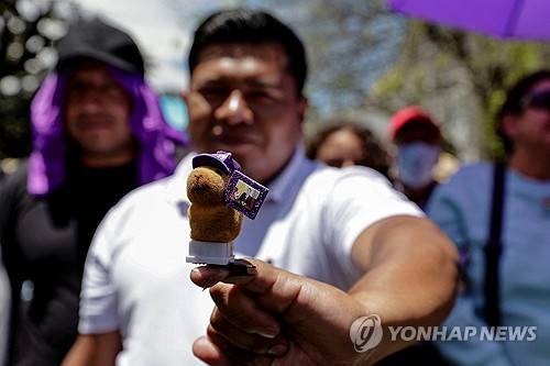 에콰도르 대통령 당선인 사진과 함께 꾸민 카피바라 인형 [키토 로이터=연합뉴스]