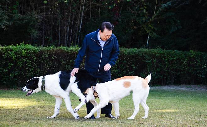 윤석열 전 대통령이 지난해 11월10일 서울 용산 대통령 관저에서 중앙아시아 순방 때 선물로 받은 투르크메니스탄 국견 알라바이 해피(왼쪽)와 조이를 산책시키고 있는 모습. 대통령실 제공