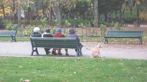공원 벤치에 나란히 앉은 다섯 친구의 뒷모습. 사람과 동물이 함께 나이들어 가는 다정한 장면이다.
