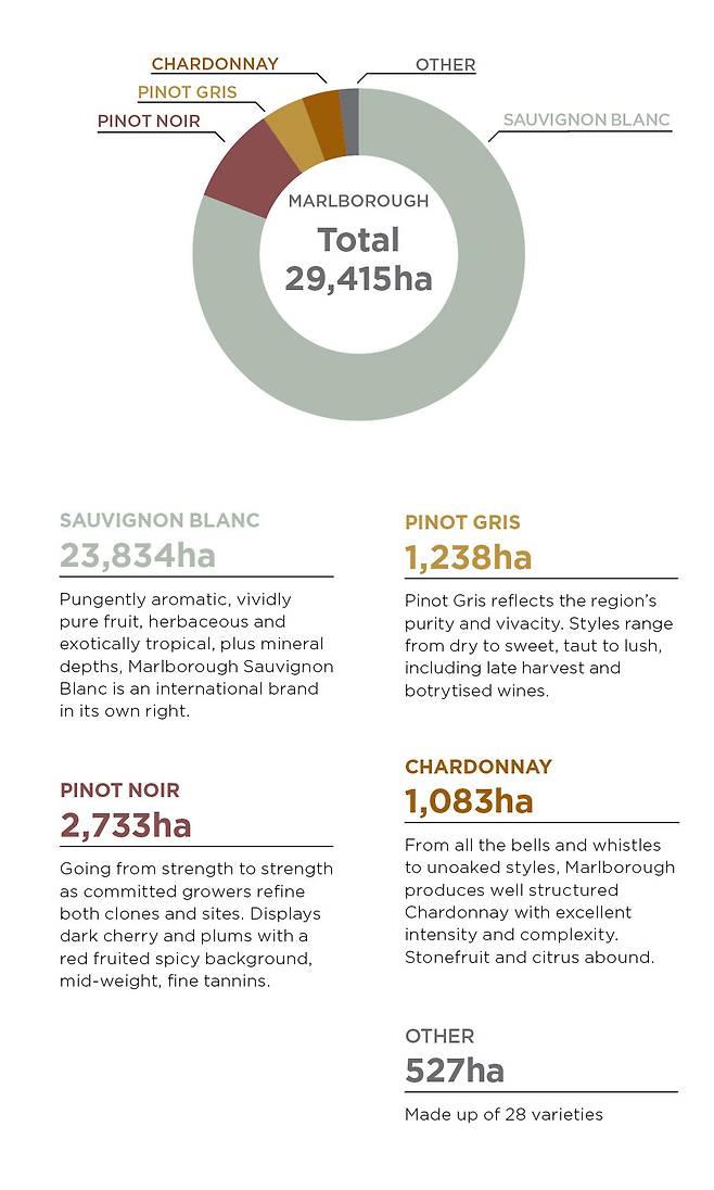 말보로 주요 품종과 포도밭 면적. 뉴질랜드와인협회