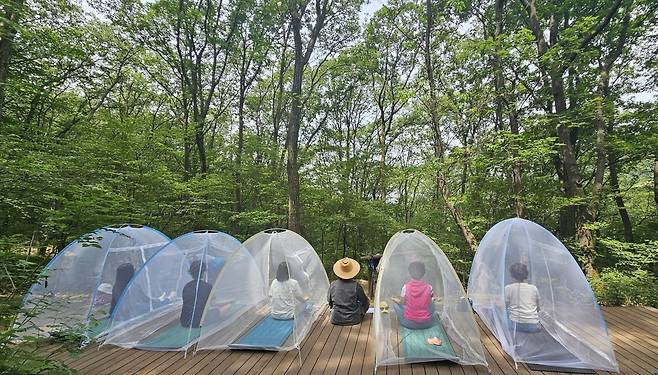 2024년 산성공원에서 진행된 '산림치유' 프로그램 [성남시 제공. 재판매 및 DB 금지]