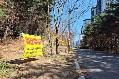 포항시 입산통제 현수막 [촬영 손대성]