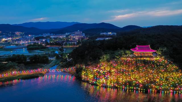 지난해 연등문화축제의 금장대 일원 야경. 동국대 WISE캠퍼스 제공