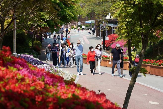 청남대 ‘영춘제’는 지역을 대표하는 봄꽃 축제답게 눈길 닿는 곳마다 봄꽃을 비롯한 석곡개화작, 야생화 분경작품 등이 전시된다. 청남대관리사업소 제공