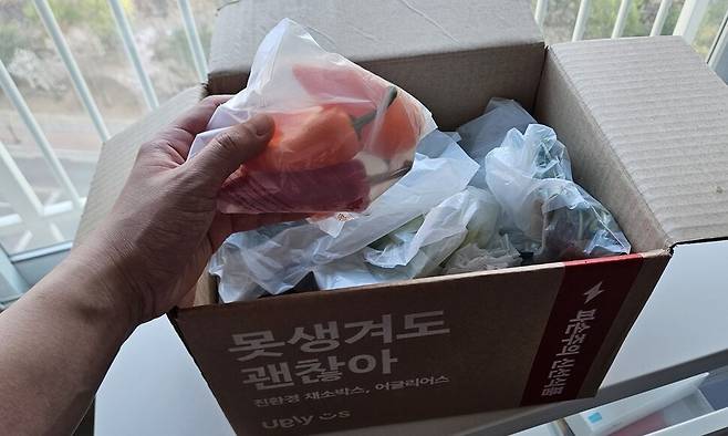 대구에 사는 직장인 채기현(36)씨가 지난 4일 ‘어글리어스’ 앱을 통해 주문해 받은 파프리카와 어린잎채소 등을 살펴보고 있다. 포장용 비닐은 생분해성 소재로 만들어졌다. 본인 제공