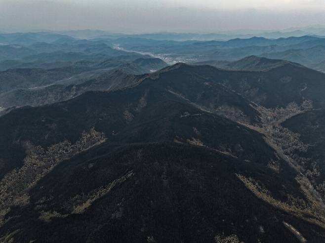 지난 3월 28일 경북 의성군 산림이 일주일간 지속된 산불로 폐허가 됐다. 연합뉴스