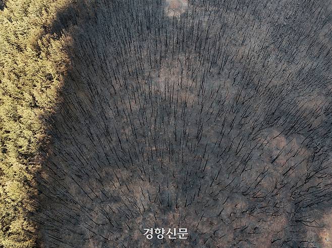 오는 21일로 영남 지역을 초토화시킨 동시다발 산불이 발생한 지 한달이 되는 가운데 20일 경북 의성군 단촌면과 인근의 산불 피해지역이 까맣게 그을려 있다. 2025.4.20 이준헌 기자
