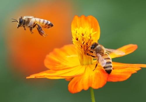 [사진 출처 = 연합뉴스]