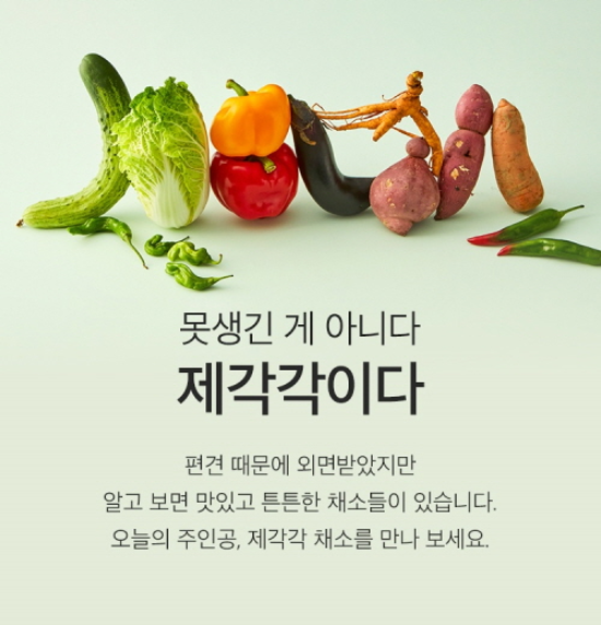 컬리에 규격 미달 채소를 납품하고 있는 록야(컬리 제공)