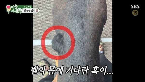 SBS ‘미운 우리 새끼’ 캡처