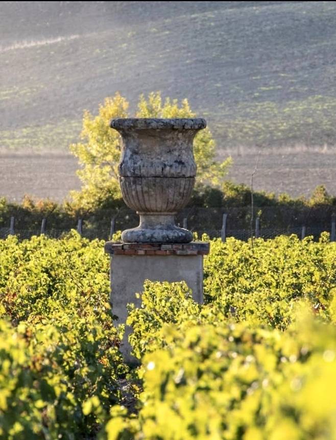 이 캄피 레이블이 된 포도밭 조형물. 인스타그램