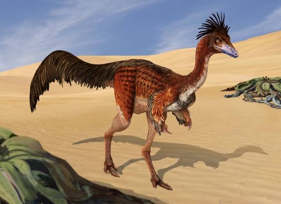 보나파르테니쿠스 울티무스의 복원도. 출처=Meso et al, PLOS ONE (2025). DOI: 10.1371/journal.pone.0308366, CC-BY 4.0