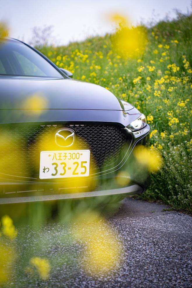 나가노_09.jpg 일본유학생 드림카 렌트 해서 2박3일 지방 소도시 나가노 여행기