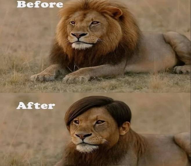 엄마가 해준 머리.jpg 역시 남자는 머리스타일이 중요하지