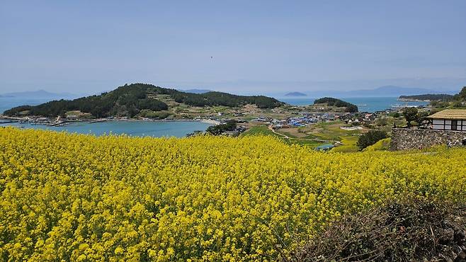 20250419_125205.jpg 청산도 넘나 예쁜 섬