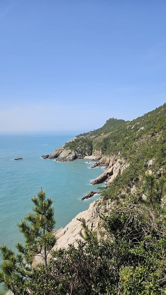 20250419_104315.jpg 청산도 넘나 예쁜 섬