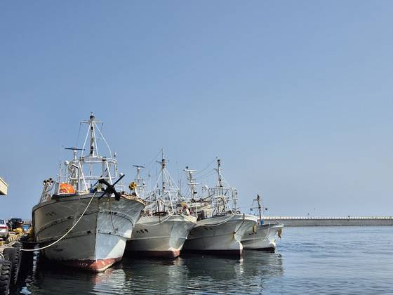 지난달 23일 강원 강릉시 주문진읍 주문진항에 오징어 채낚기 어선이 정박해 있는 모습. 박진호 기자