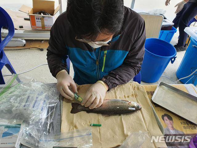 [서울=뉴시스] 수산질병관리사가 진료하는 모습.