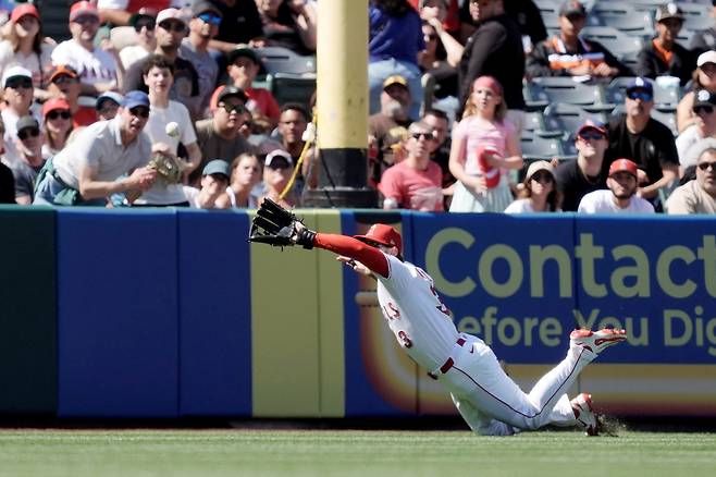 LA 에인절스 좌익수 테일러 워드가 21일 샌프란시스코전에서 7회초 이정후의 잘 맞은 타구를 다이빙 캐치로 잡아내고 있다. Kirby Lee-Imagn Images연합뉴스