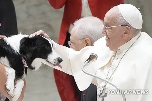 프란치스코 교황  [AP=연합뉴스]