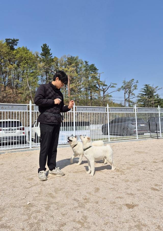 동경이는 사람을 잘 따른다. 행정팀 정승락 주임이 오자 동경이들이 얼른 달려가 친근감을 나타낸다.