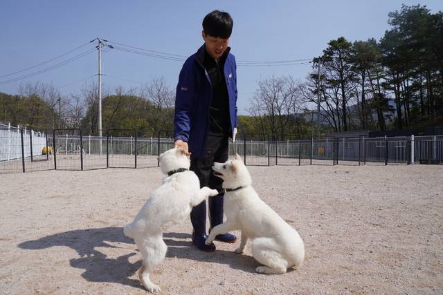 사양관리팀 정하원 팀장이 오자 좋아서 못 사는 동경이들이다. 사양관리팀은 동경이들에게 단순한 관리사가 아닌 서로 교감하는 가족이자 울타리다.