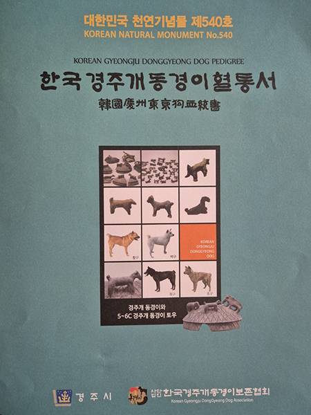 한국경주개 동경이 혈통서. 천연기념물 제540호로 지정되었다. 현재 경주시 전역에서 약 530마리 정도가 혈통을 유지하며 관리되고 있다.