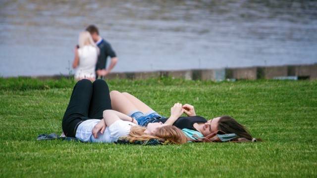 야외 활동 시 진드기 매개 감염병 주의가 필요하다|출처: 게티이미지뱅크