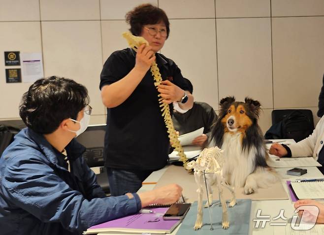 침치료인증수의사 수업이 22일 서울 강남구 VIP동물한방재활의학센터 by Dr. 신사경에서 열렸다. ⓒ 뉴스1 최서윤 기자