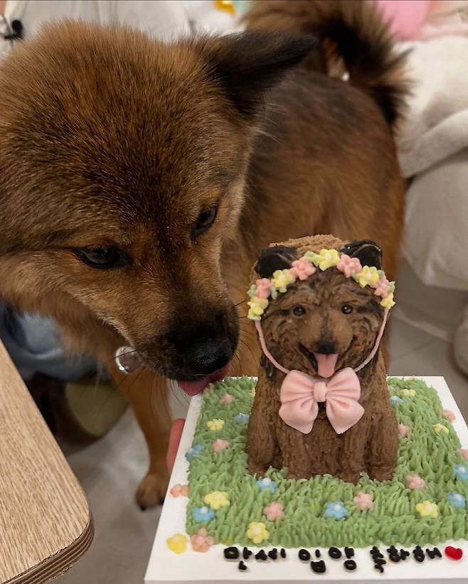 전진(왼쪽), 류이서. 사진 출처=류이서 계정