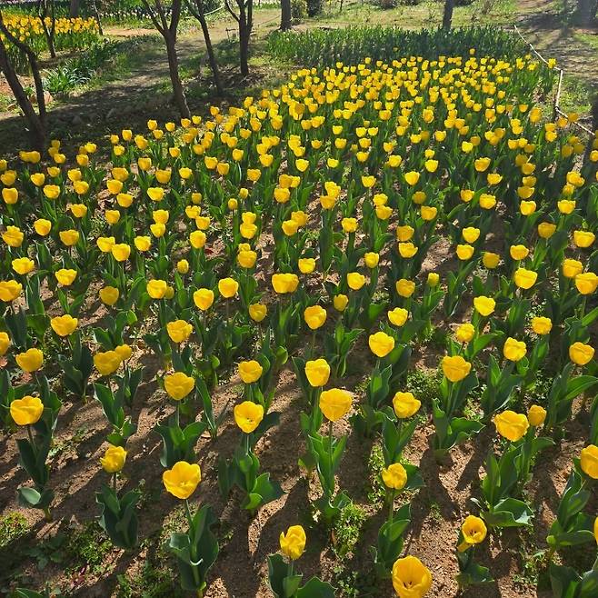 하늘빛수목정원