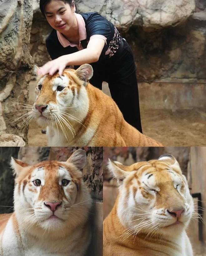 4PoSxdi1TI6ACeyE0CysOW.jpg 스모키 메이크업이 인상에 미치는 영향ㄷㄷㄷ