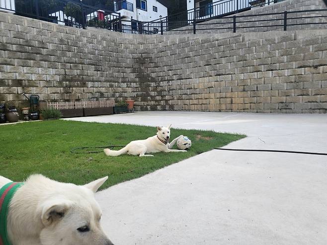 IMG_6198.jpeg 티눈이고 코딱지고 나발이고 ㅅㅂ거