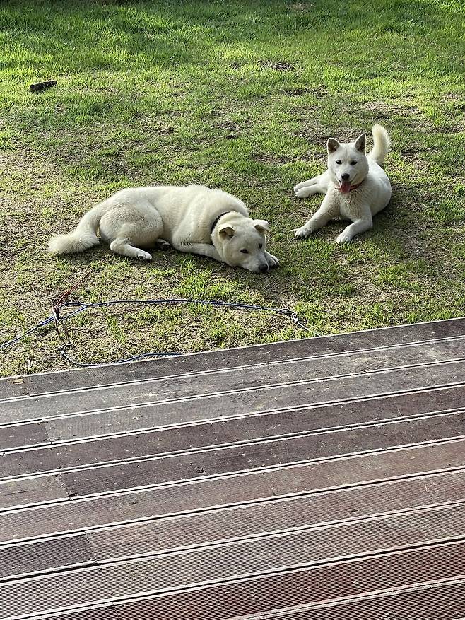 IMG_4437.jpeg 티눈이고 코딱지고 나발이고 ㅅㅂ거