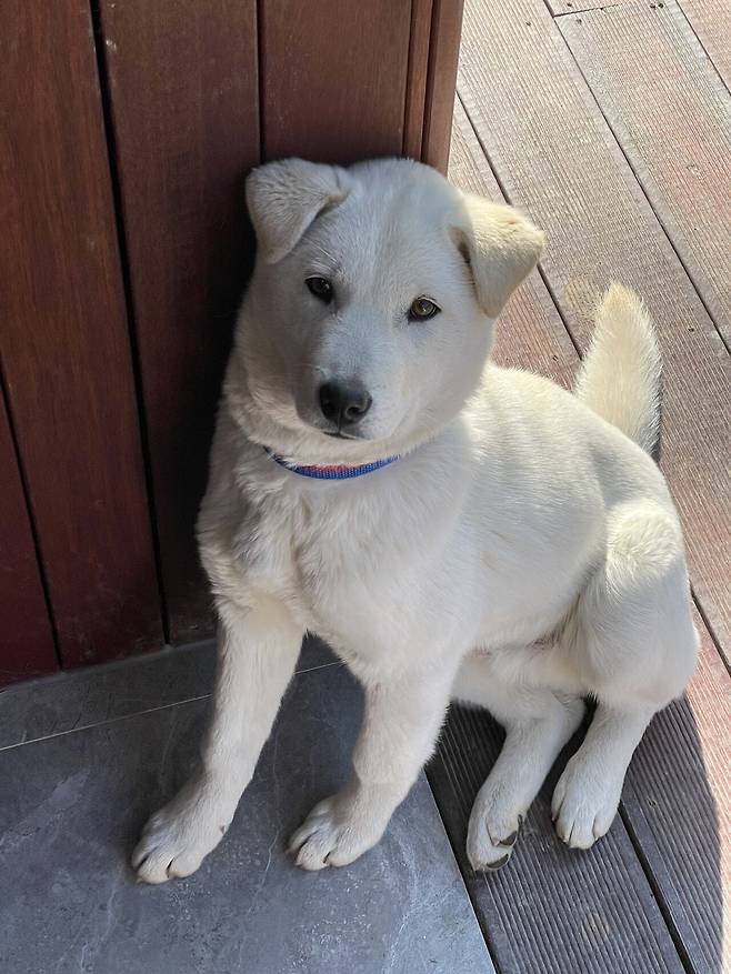 IMG_3927.jpeg 티눈이고 코딱지고 나발이고 ㅅㅂ거