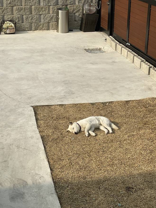 IMG_3933.jpeg 티눈이고 코딱지고 나발이고 ㅅㅂ거