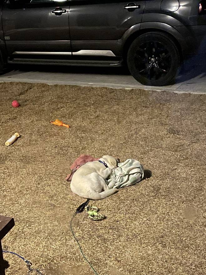 IMG_3879.jpeg 티눈이고 코딱지고 나발이고 ㅅㅂ거