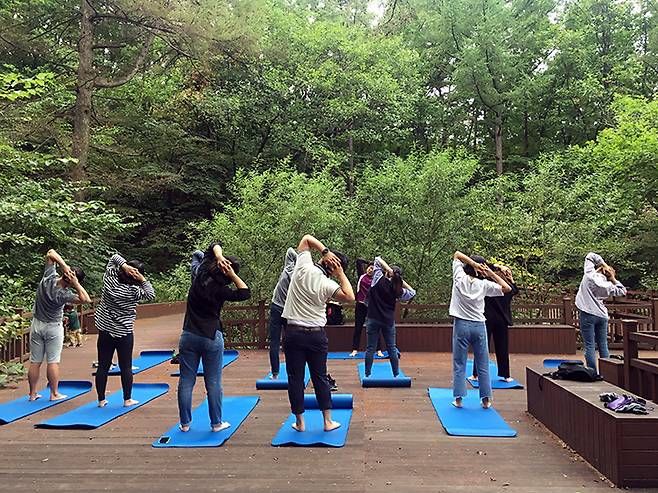 참가자들이 산림치유프로그램에 참여하고 있다.(사진=산림청 제공)