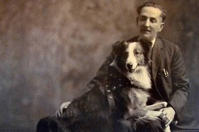 1924년 미국 오리건에 살던 개 ‘보비’는 가족과 여행에 떠났다가 길을 잃은 뒤 6개월간 장장 4100㎞를 달려 집을 찾아왔다. 오리건역사학회 누리집 갈무리
