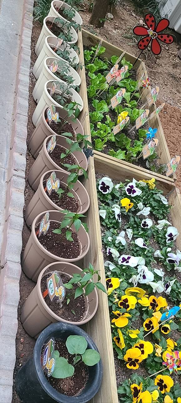 달서구 월성 e편한세상의 꼬마농부들의 텃밭 [사진=달서구 월성 e편한세상]