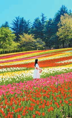 이월드가 지난해 연간 방문객 330만명을 돌파했다. 사진은 이월드의 인기 요소인 계절별 꽃축제의 하나인 튤립 트래블. [사진 이월드]