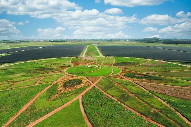 솔라시도 태양의 정원. /BS그룹 제공