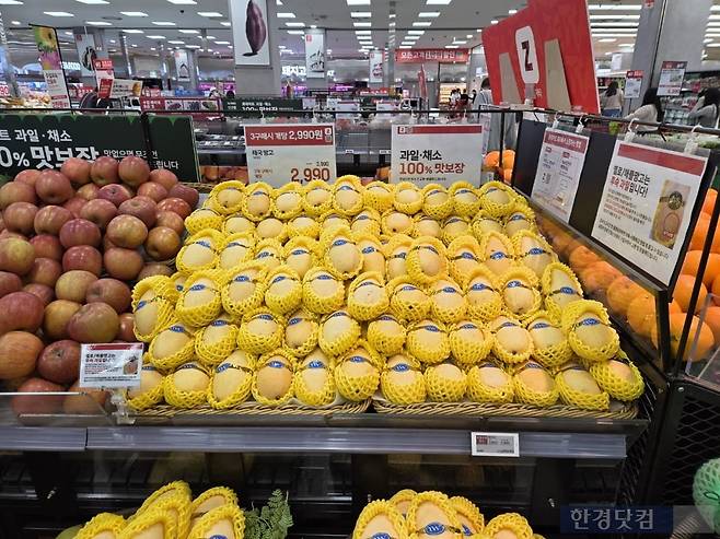 지난 21일 서울 용산구에 있는 한 대형마트 과일 매대에 망고가 진열돼있다./사진=박수림 기자