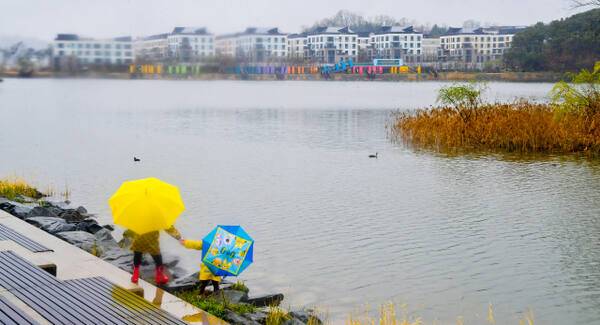 자료사진. 경기일보DB