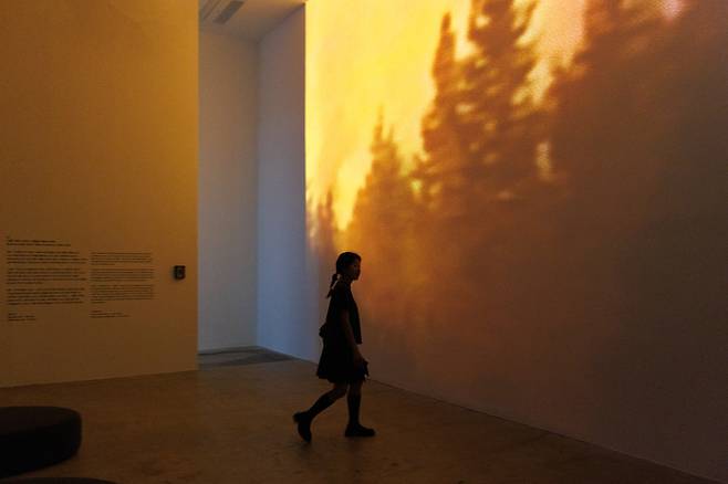 ‘산불 1946-2024’와 ‘대멸종 1946-2024’ 작품이 상영되는 전시 전경. <피크닉>