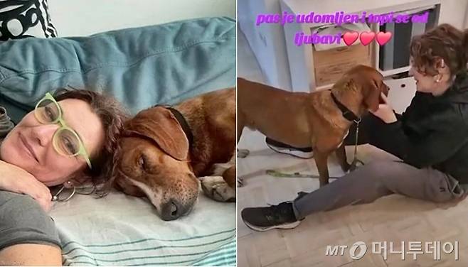 사람 손길이 그리운 듯 움직이는 인형 손에 머리를 가져다 댄 유기견이 새로운 가족을 만났다./사진=더도도, 틱톡