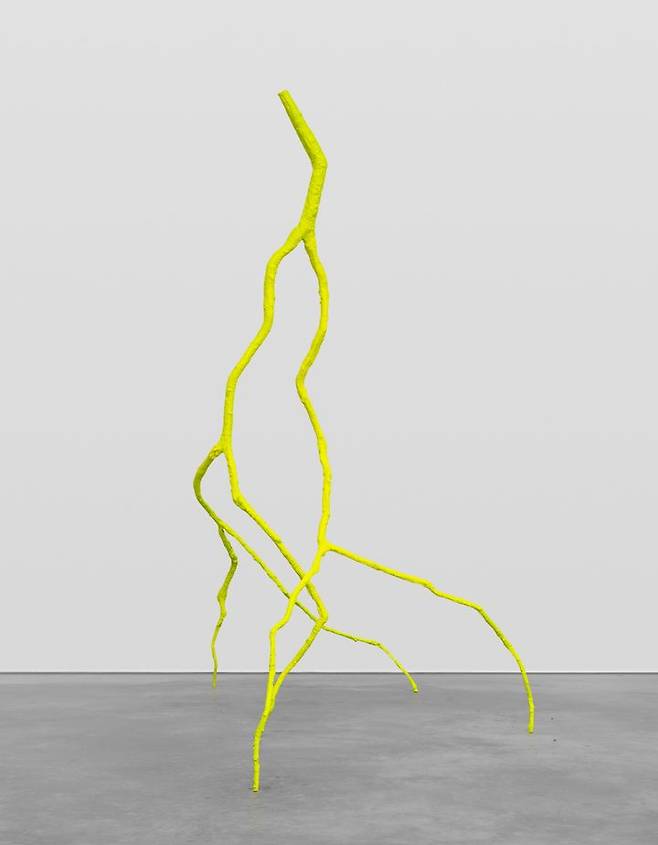 [AB2025] Esther Schipper_Ugo Rondinone 우고 론디노네, brilliant light, 2023 *재판매 및 DB 금지