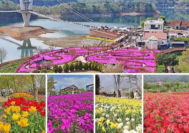 [임실=뉴시스] 봄꽃들이 만개한 임실 옥정호 붕어섬생태공원 풍경. (사진=임실군 제공) 2025.04.22. photo@newsis.com *재판매 및 DB 금지