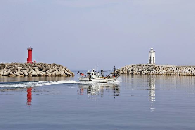 어선이 감포항에서 출항하고 있다. 경주시 제공